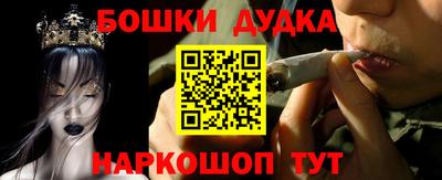 гашик Будённовск