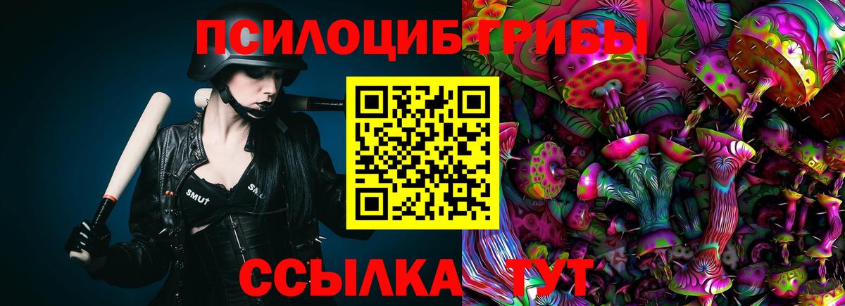 Галлюциногенные грибы мицелий Каменка