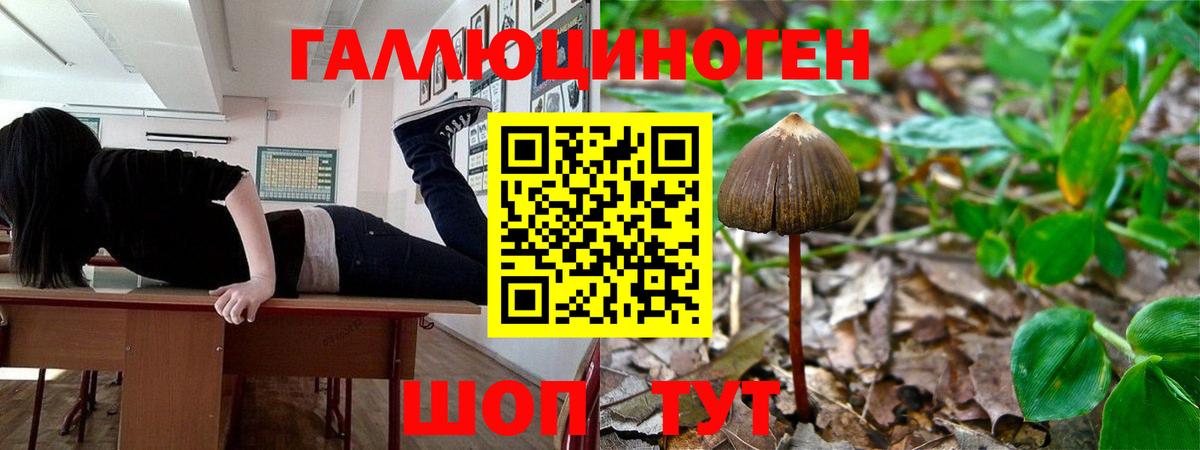 Псилоцибиновые грибы ЛСД  Вход с VPN  Каменка 